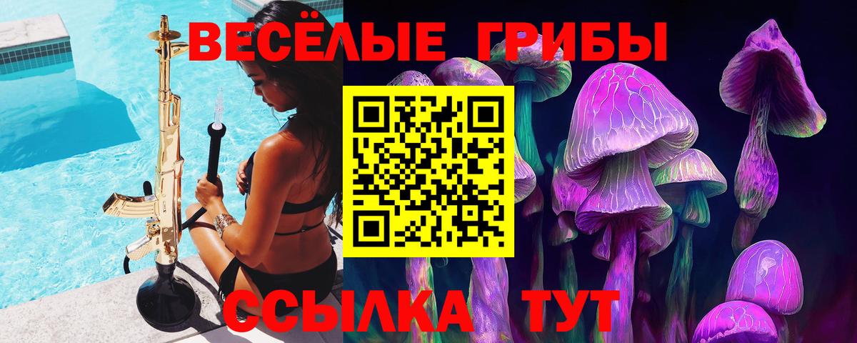 Донской  Вход с VPN  КОКАИН  Мефедрон кристаллы  ЭКСТАЗИ  Купить наркотики цена  MDMA  Бошки Шишки 