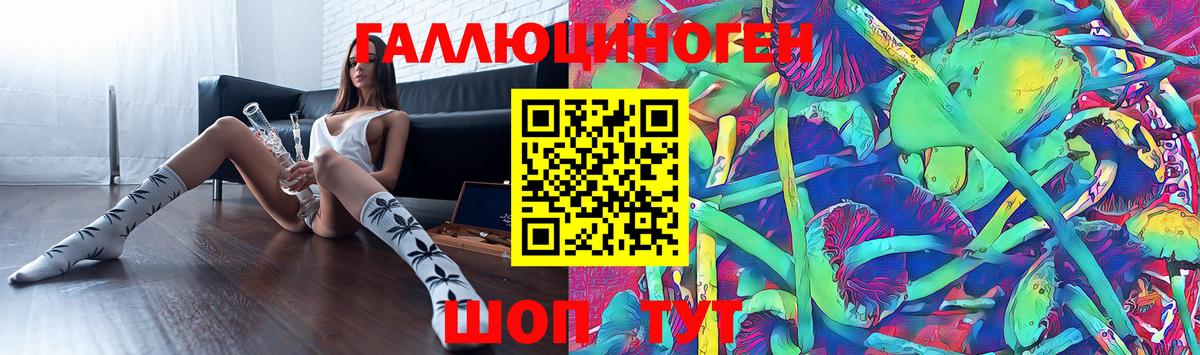 Донской  Псилоцибиновые грибы GOLDEN TEACHER  Вход с VPN  Галлюциногенные грибы Psilocybine cubensis 