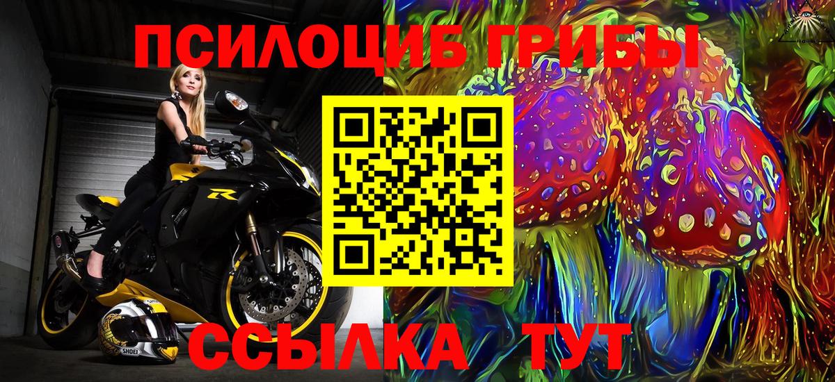 Галлюциногенные грибы мицелий Донской